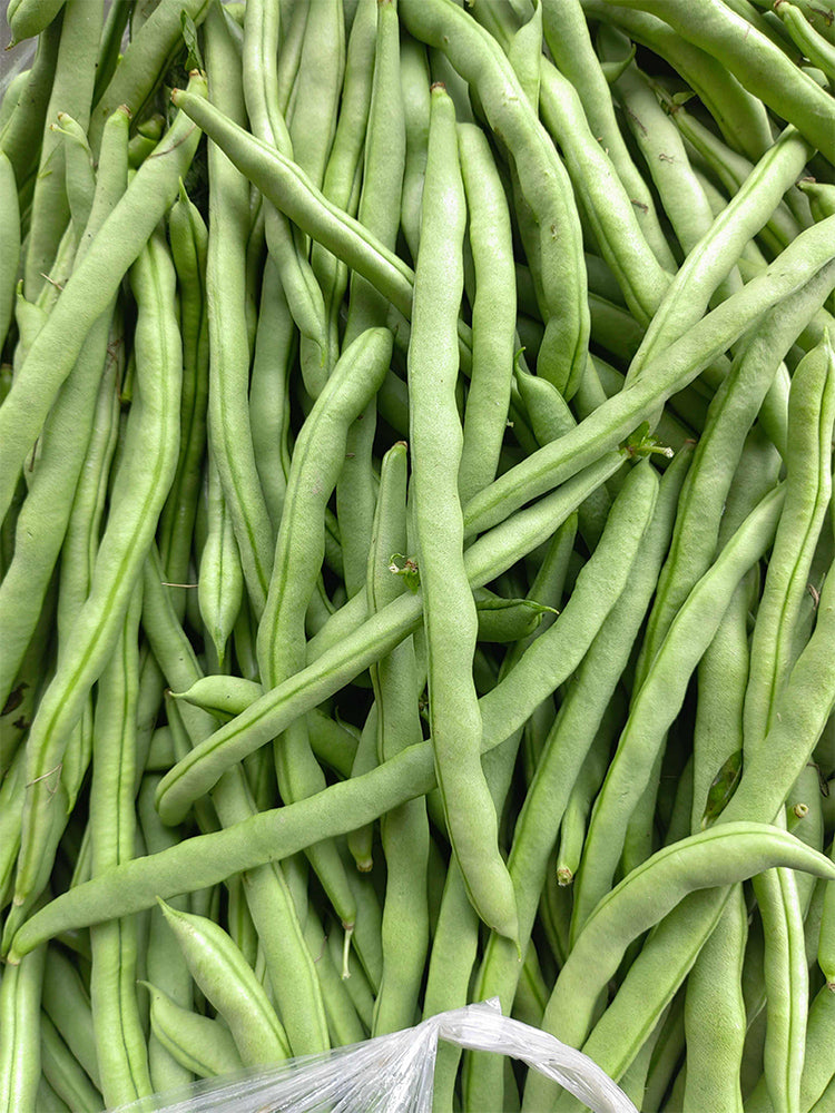 'Shuangqing No.35' Snap Bean