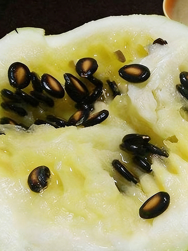 Large-seeded Watermelon