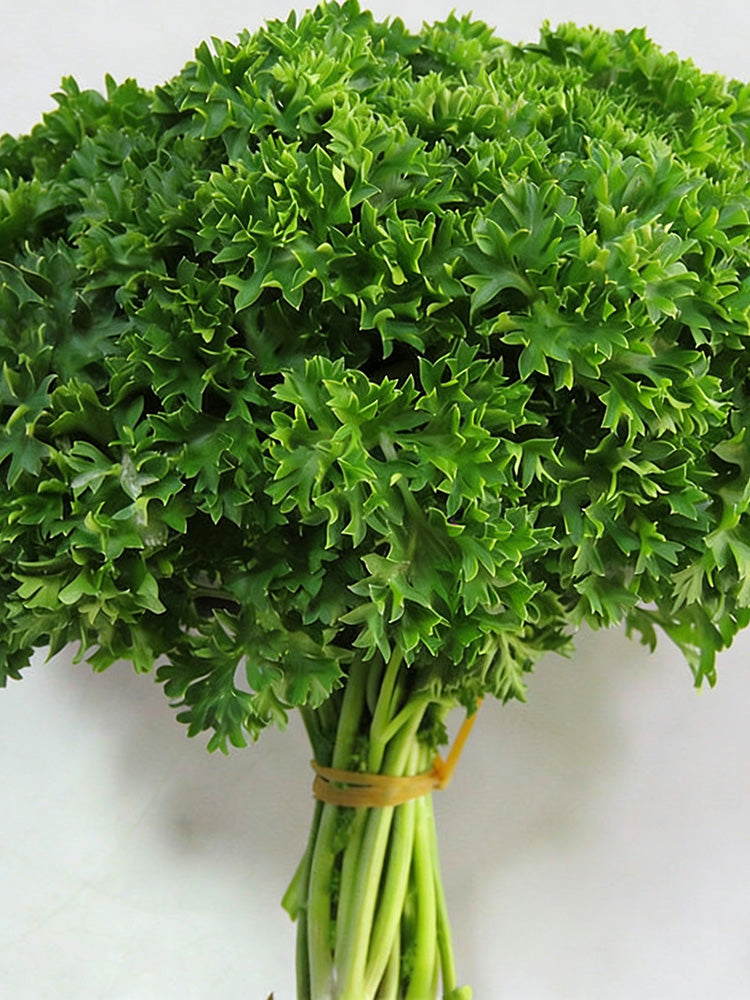 French Parsley