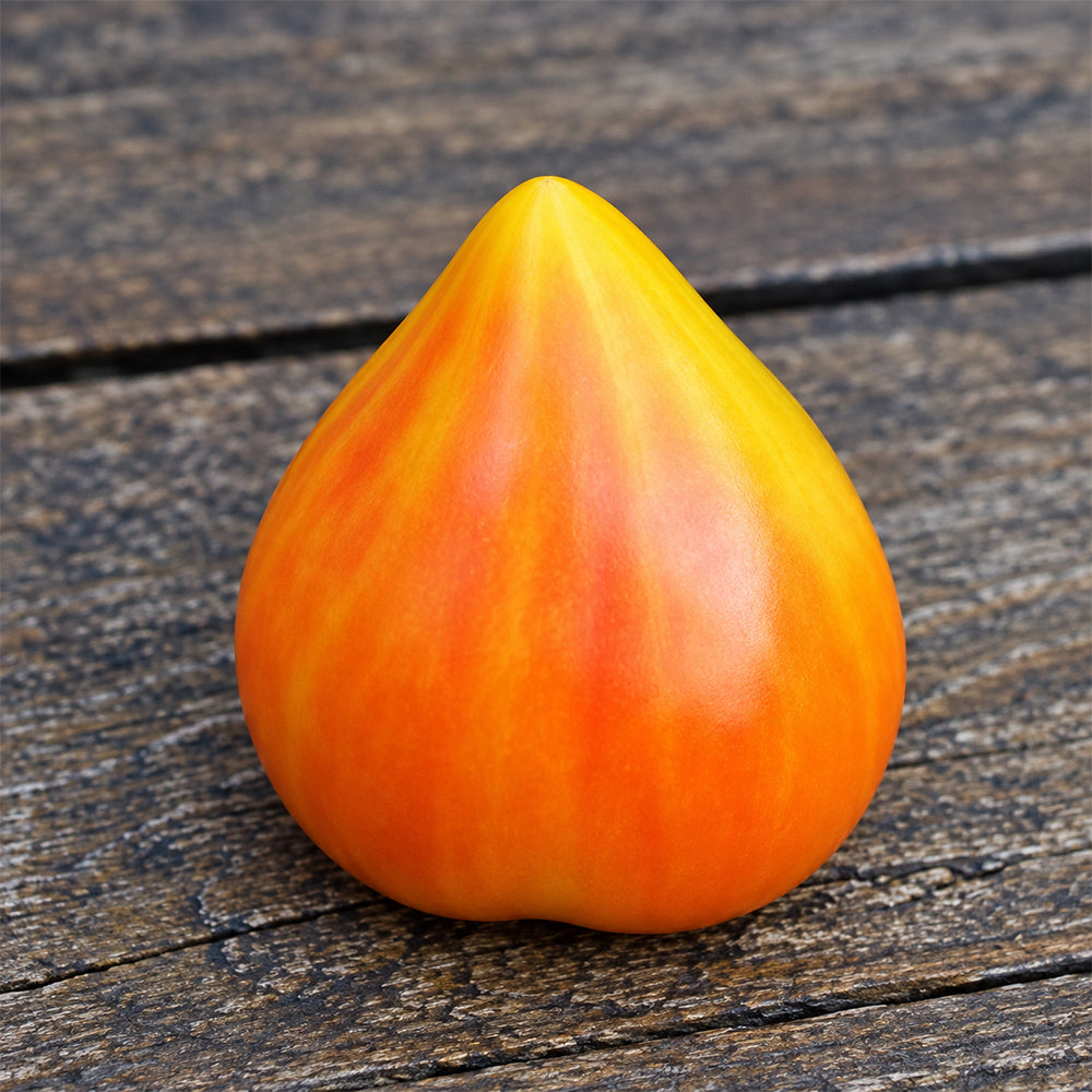 388 Canadian Yellow Strawberry Tomato