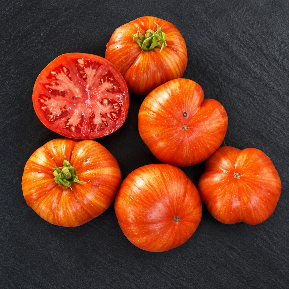 113 Cherokee Tiger Large Red Dwarf Tomato