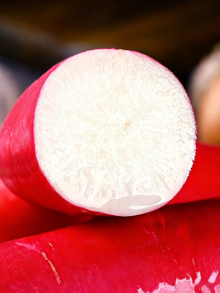 'Qishan Laobukang No.2' Water Radish