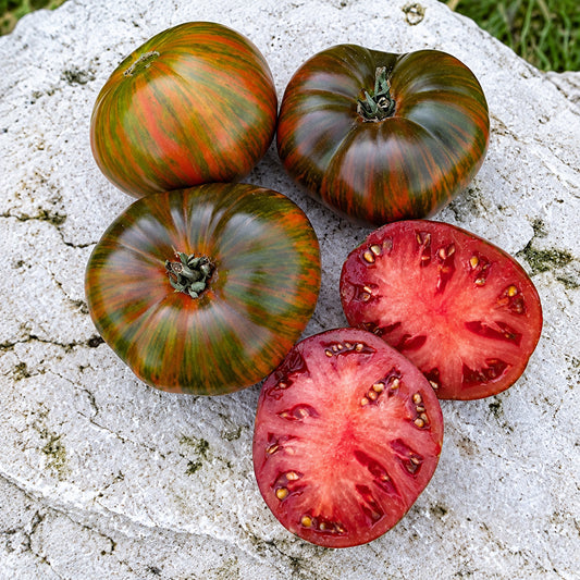 334 Andy Stripes Tomato