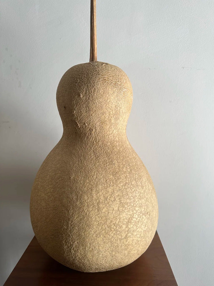 Xinjiang Bottle Gourd