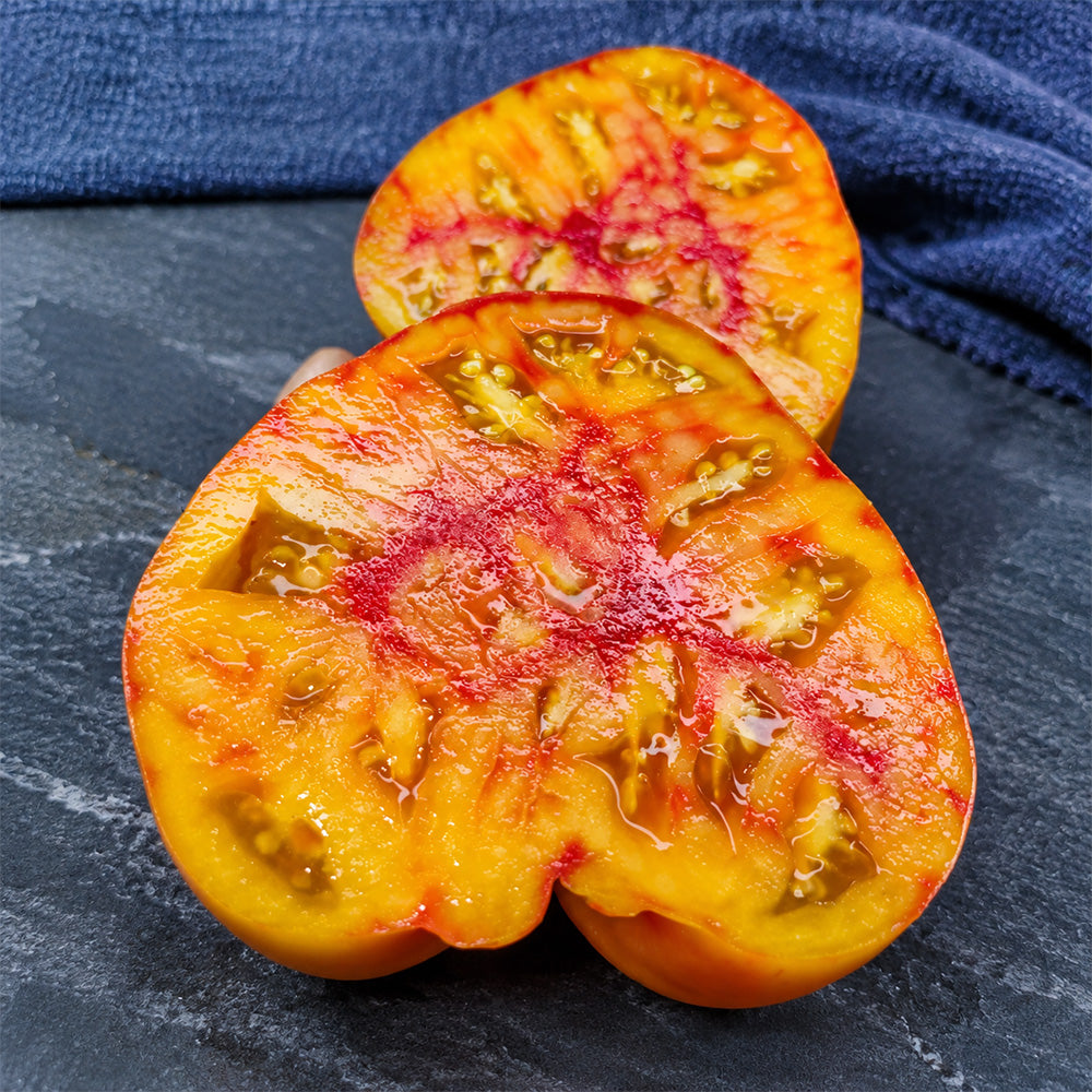 309 Manhattan Bicolor Tomato