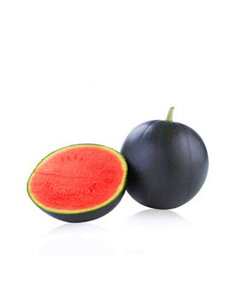 'Obsidian Sweet' Seedless Watermelon
