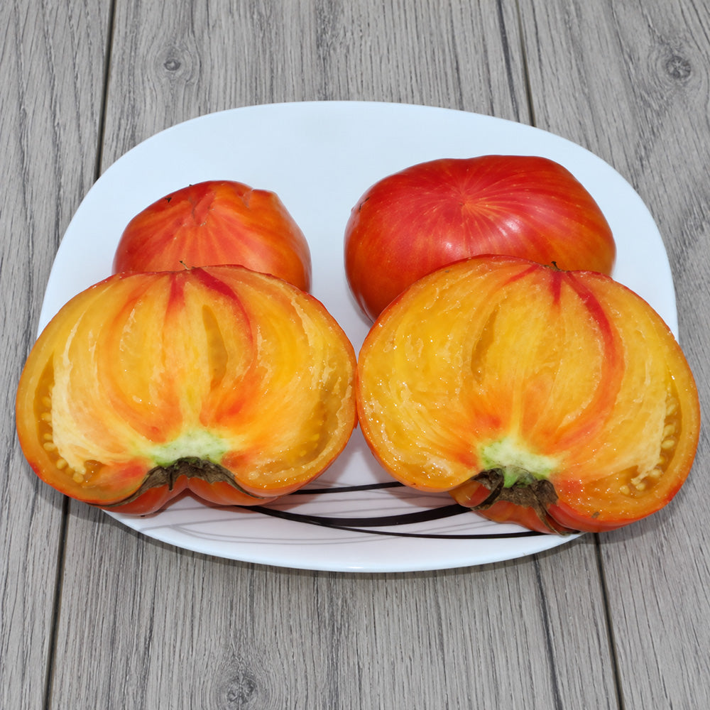562 Tricolor Tomato