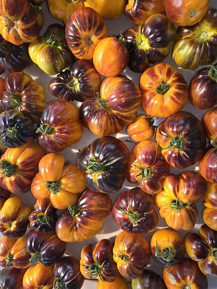 918 Orange Caramel Tomato