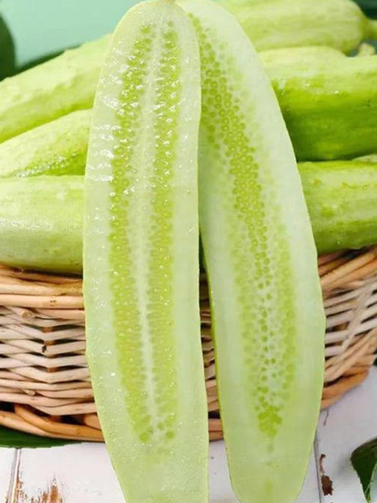 Shangli White Cucumbers