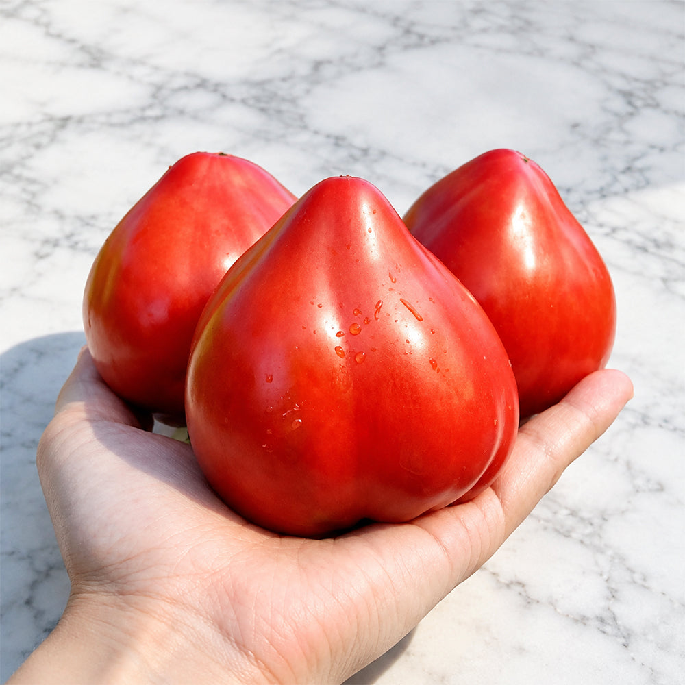 1150 Heart of Ukraine Red Tomato
