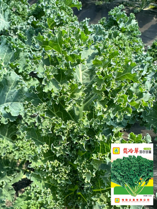 Firenze Kale