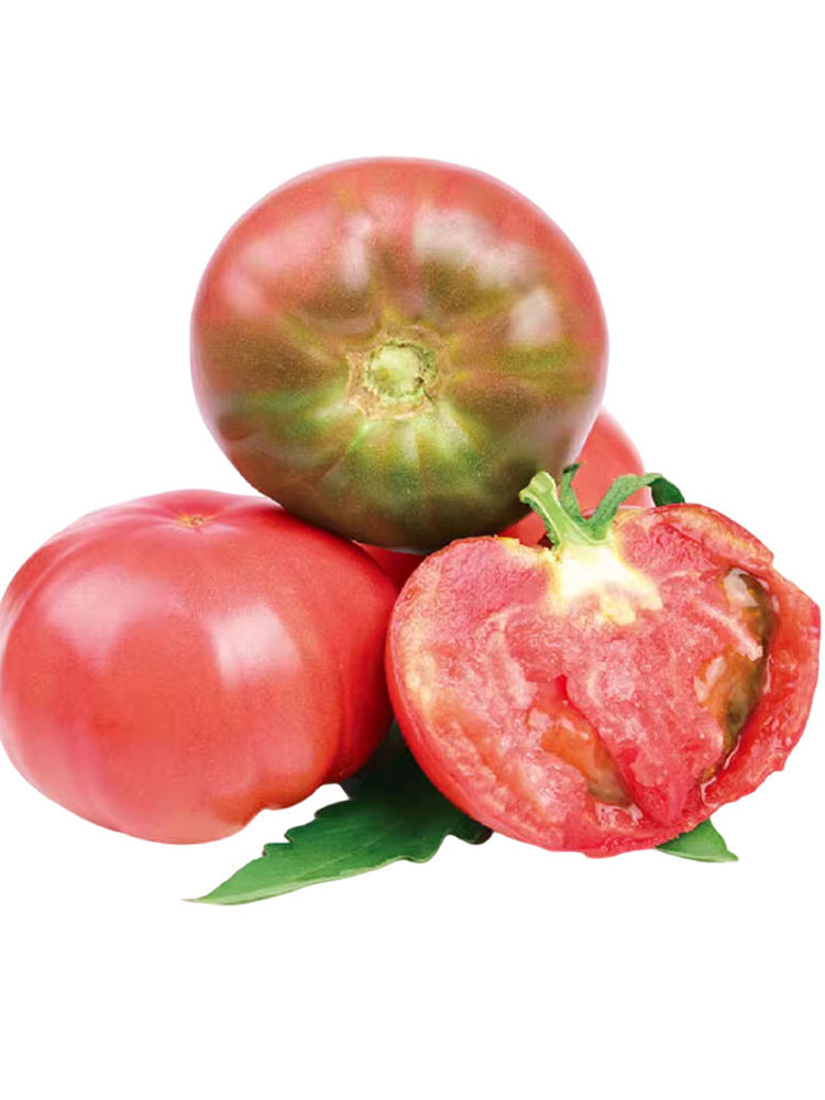 Pink Brandywine Tomato