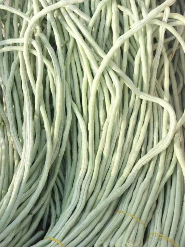 Baixue Lihong Yardlong Bean