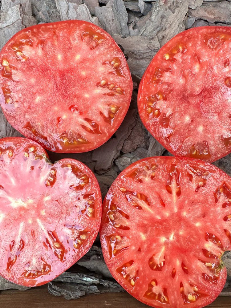 Red Brandywine Beefsteak Tomato