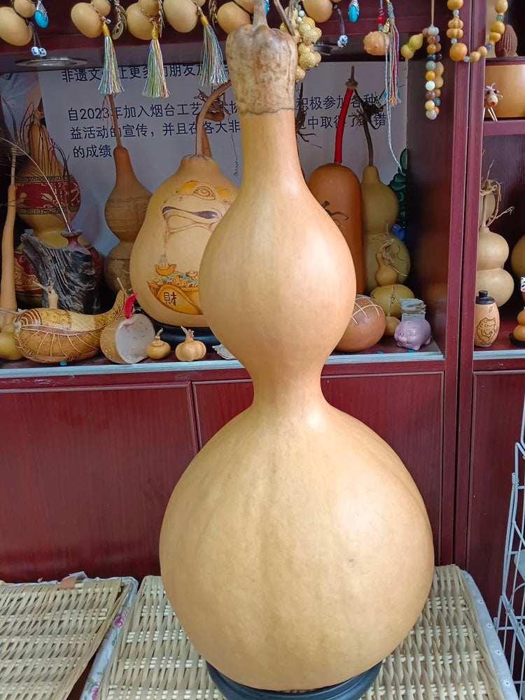 Extra Large Waist Gourd
