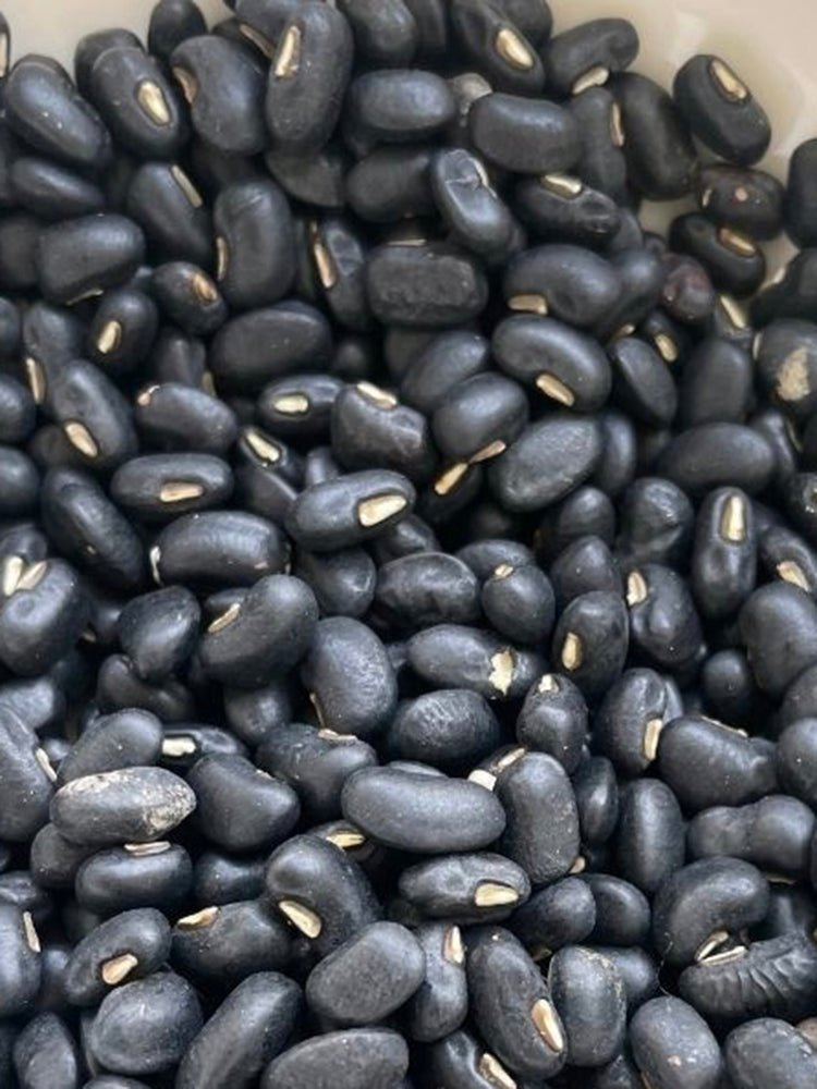 Black Cowpea