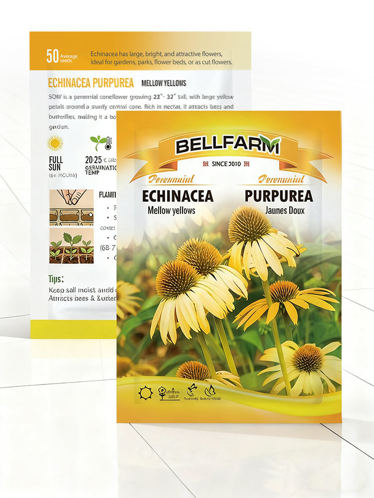 Echinacea purpurea 'Mellow Yellows'
