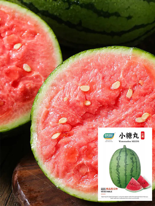 Sugar Globe Petite Watermelons