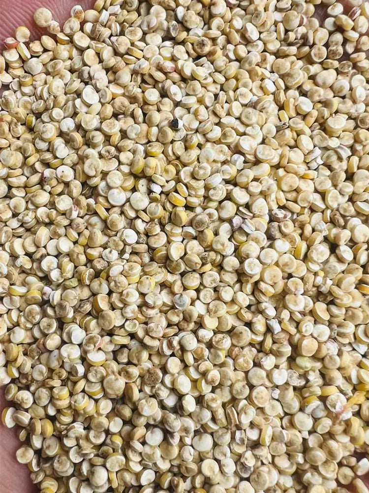 White Quinoa