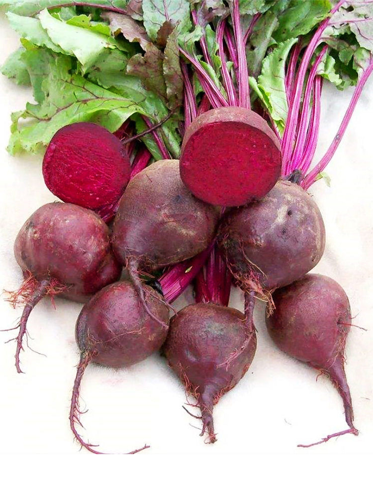 Globular Beetroot