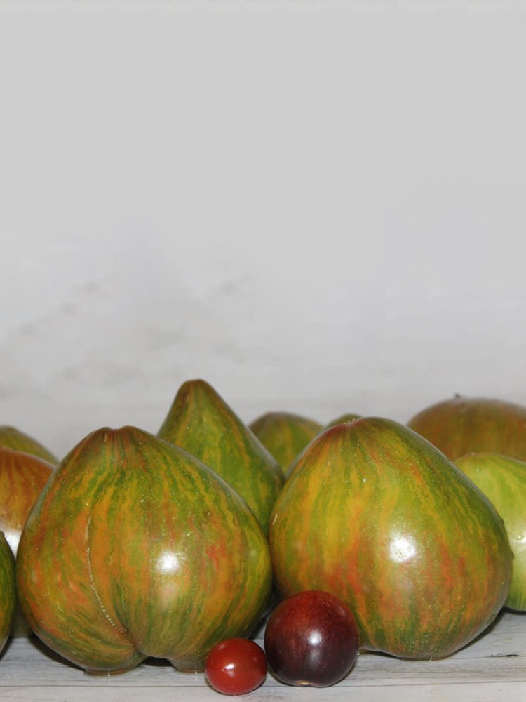977 Malachite Elf Tomato