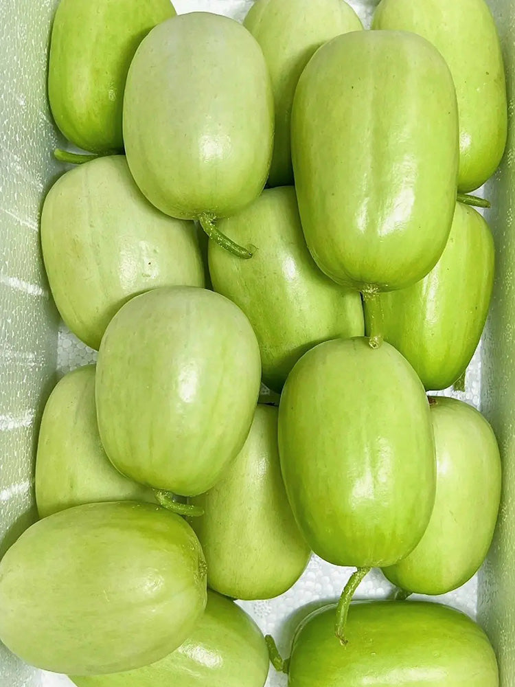 Yuanbao Fruit Cucumber
