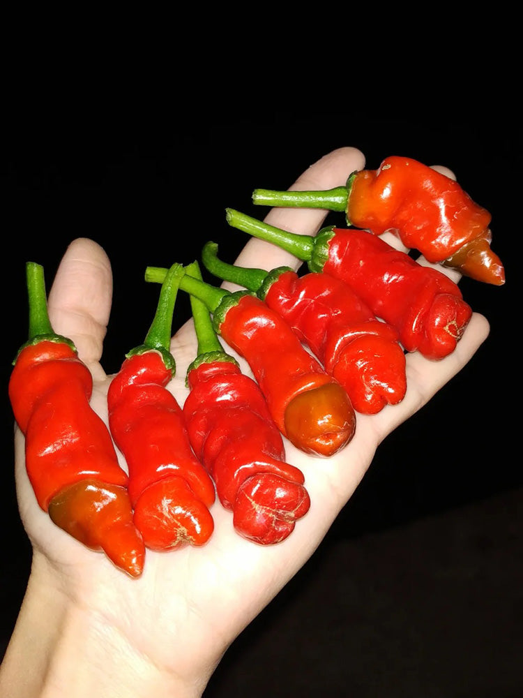 Red Peter Pepper
