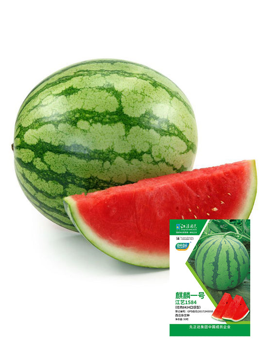 Qilin No.1 Watermelons