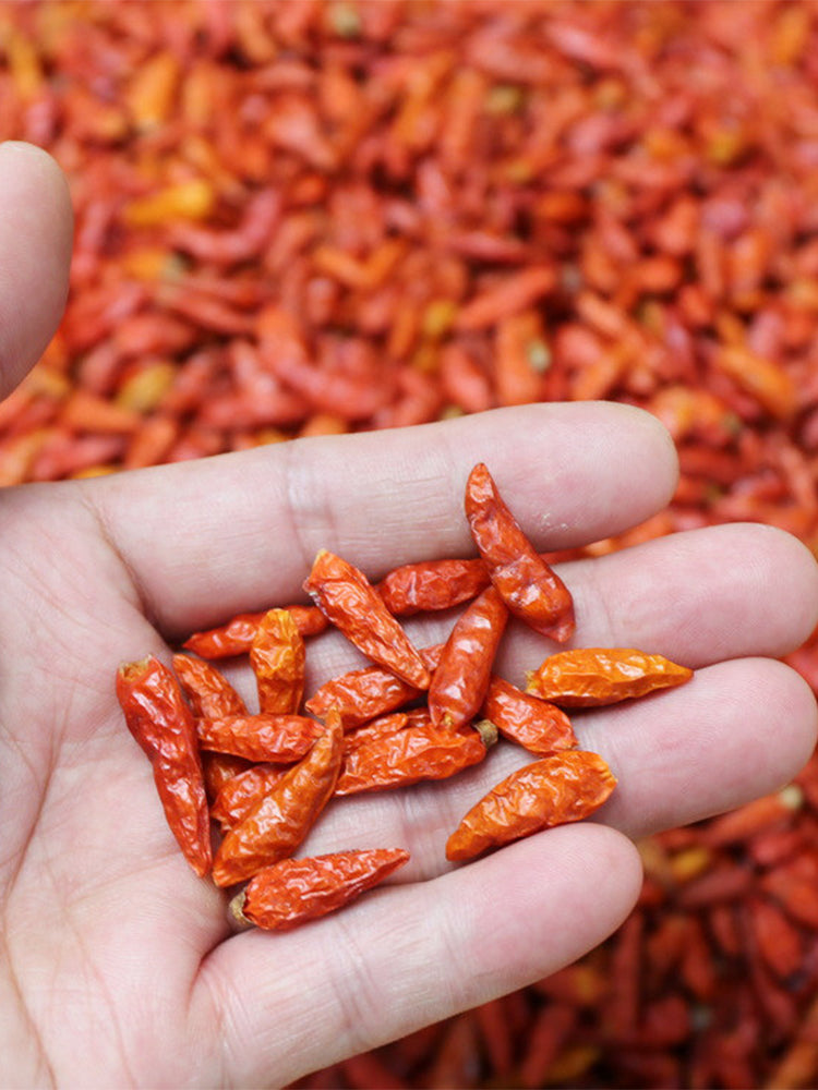 Bird's Eye Chili