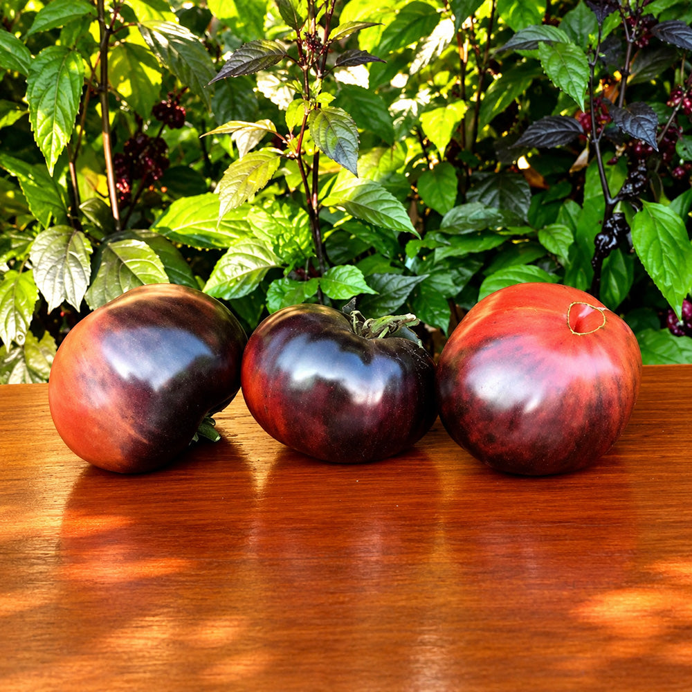 333 Dirty Curty Tomato