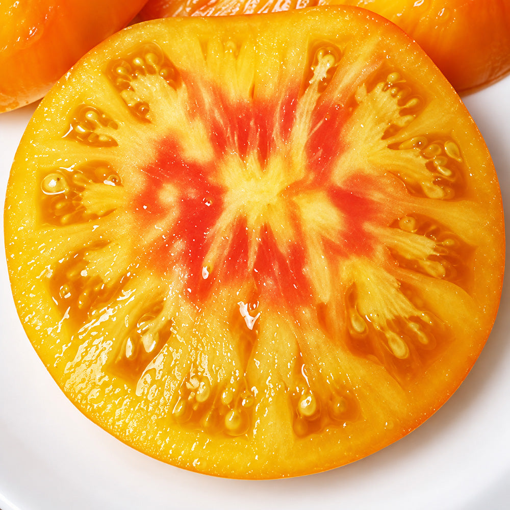 556 Tasmanian Blushing Yellow Tomato