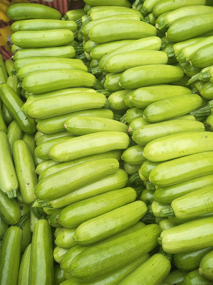 'Cuixiaoqing' Zucchini