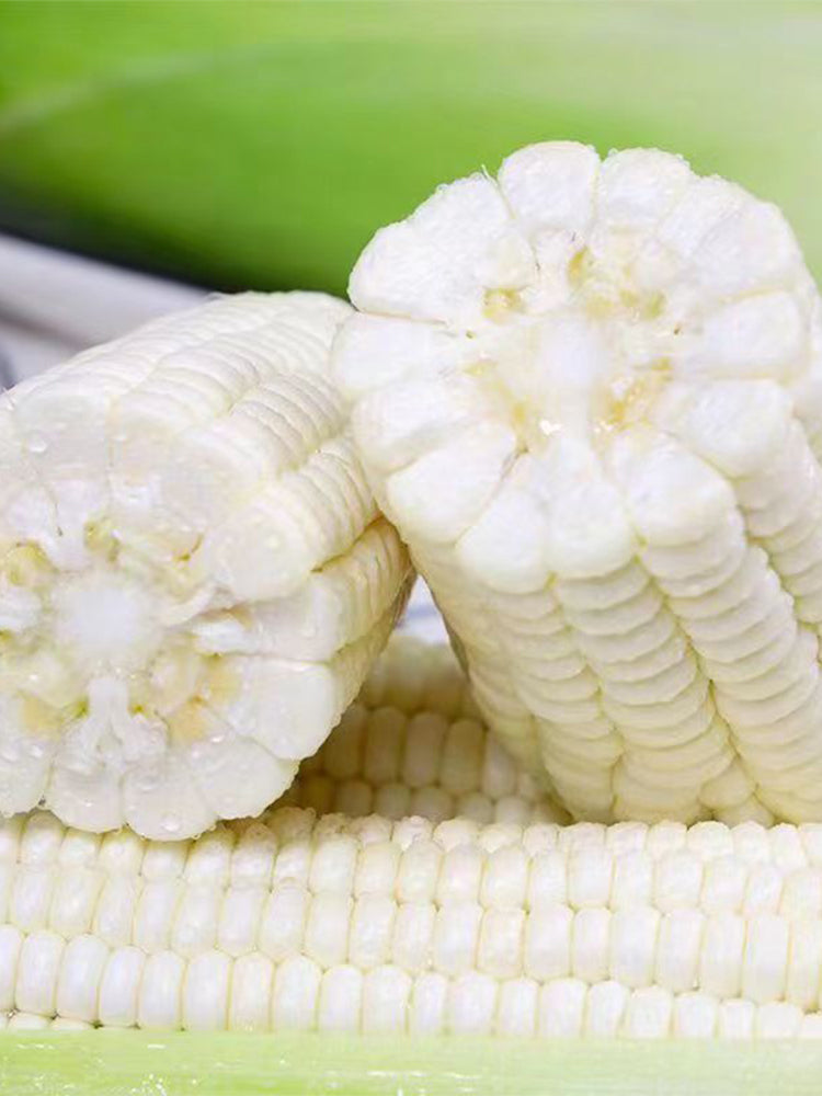 Sweet-waxy No.182 Corn