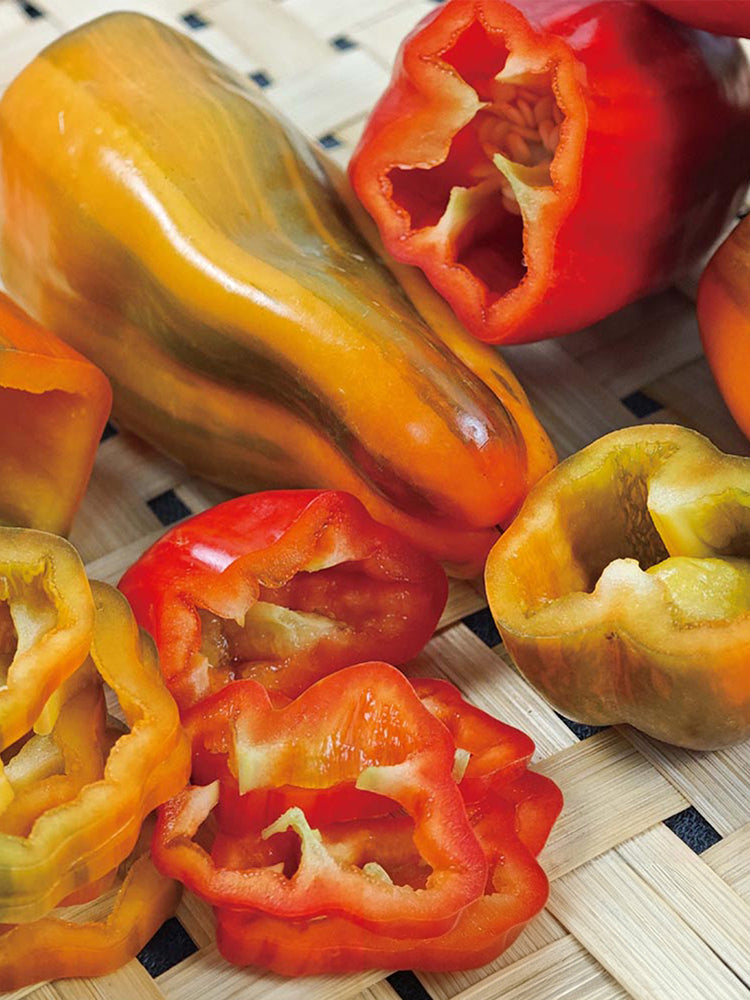 Rainbow Candy Sweet Pepper