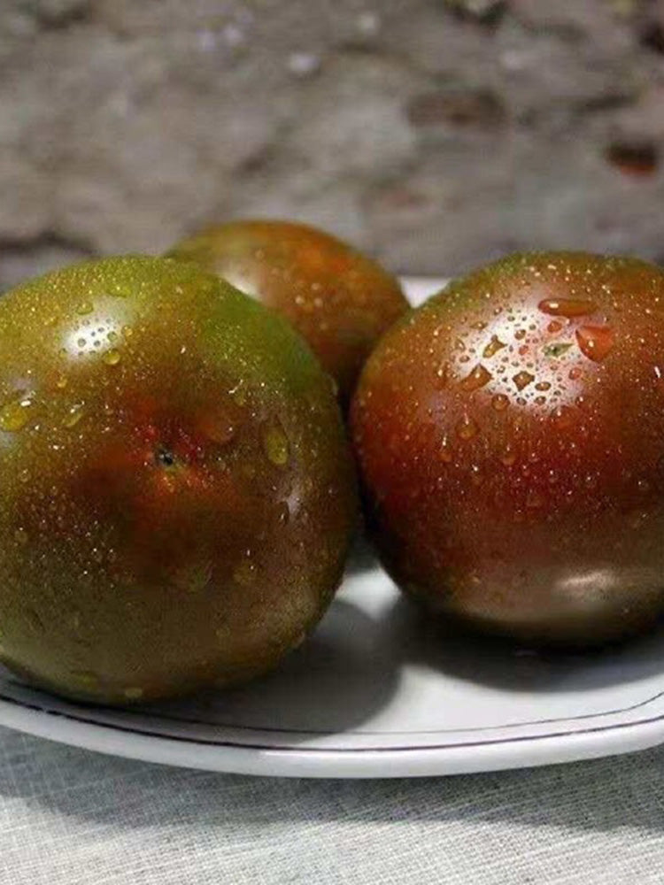 Chocolate Tomato