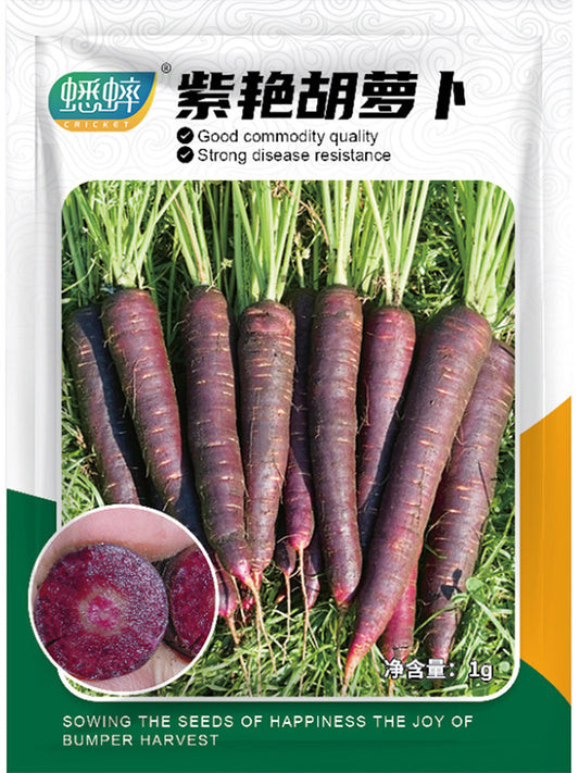 Blackish Purple Carrots