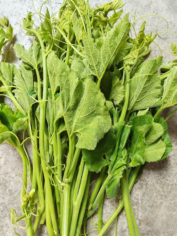 Tasty Pumpkin Shoots