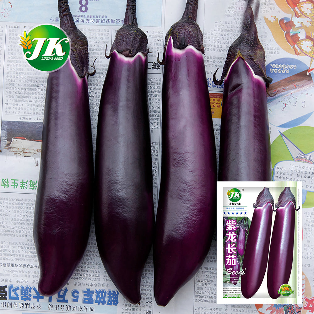 5 Bags (400 Seeds/Bag) of 'Purple Dragon' Long Eggplant Seeds