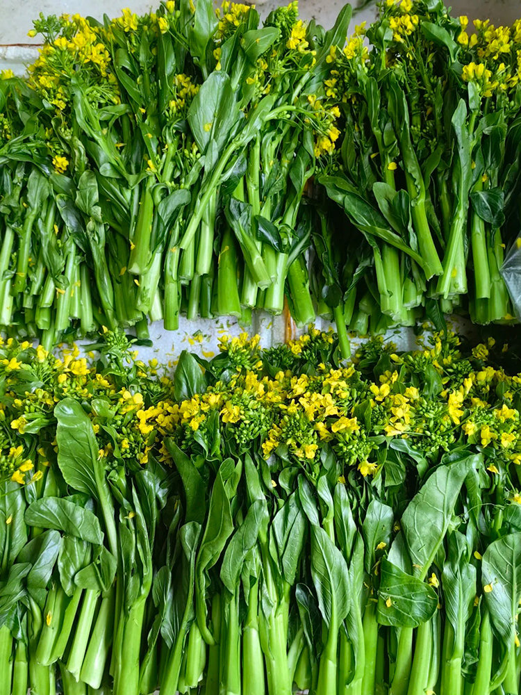 'Li Jian' 120-Day Sweet Choy Sum