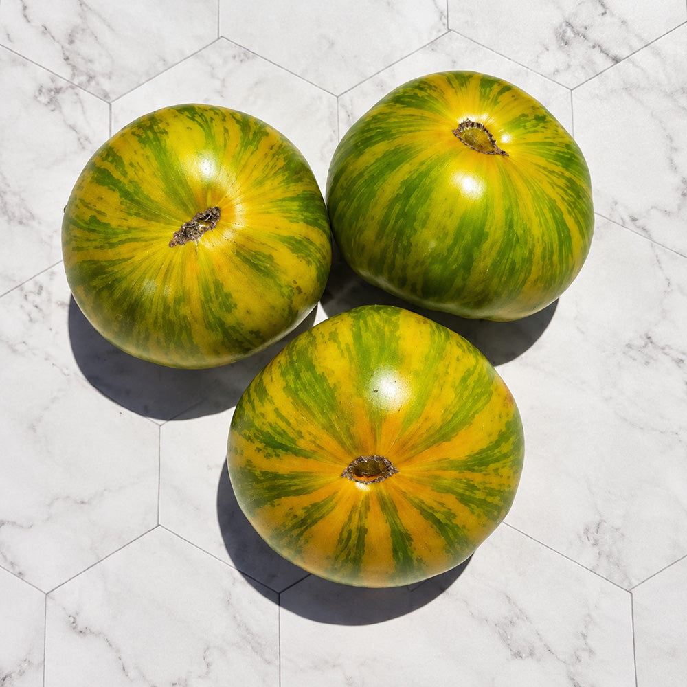 305 Dwarf Rebel Yellow-Green F4 Tomato