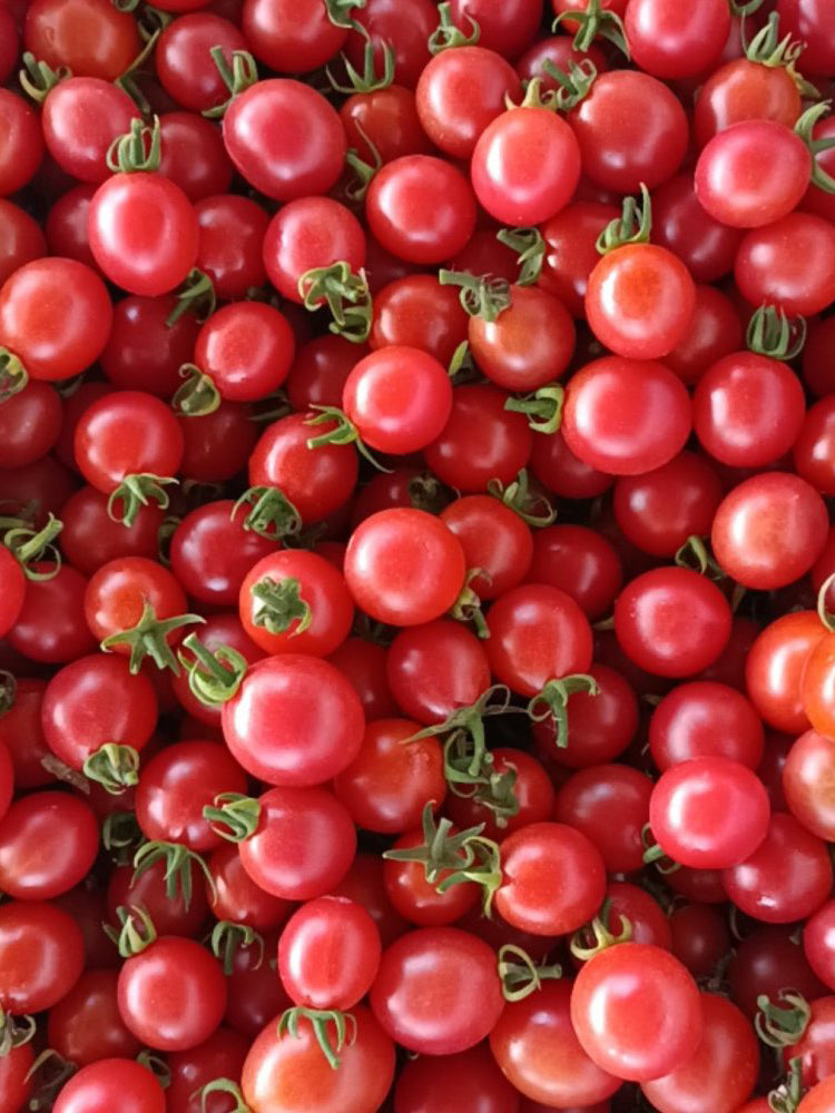 'Sweet Ruby Gem' Cherry Tomato