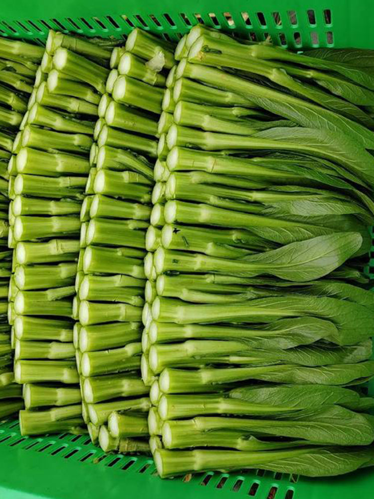 Meiqi No.2 Sweet Choy Sum