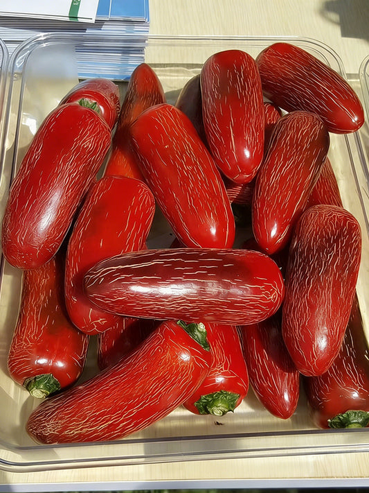 Sausage Pepper