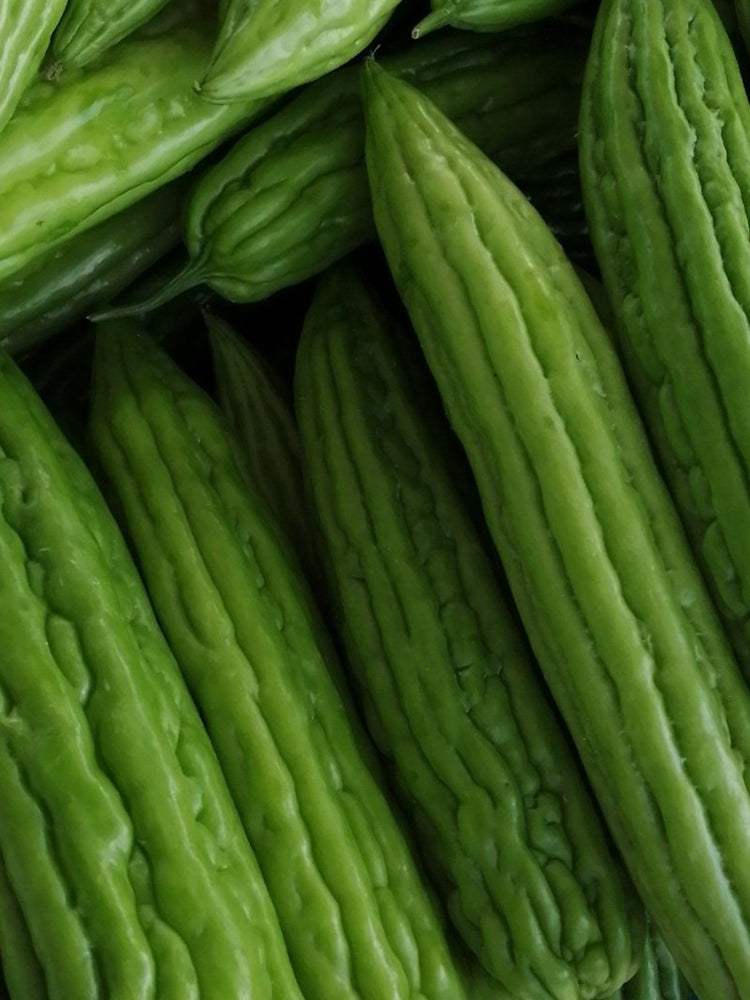 Jiemei 13 Bitter Gourd