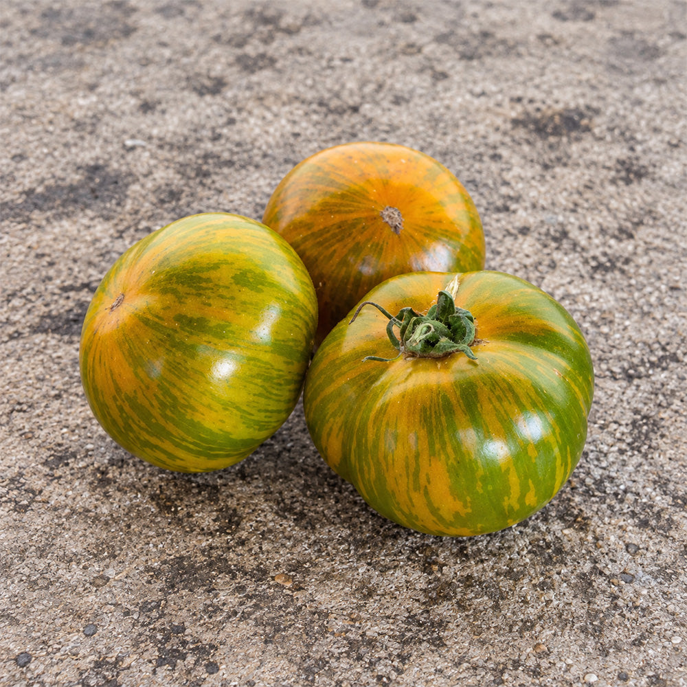412 Dwarf Jeremy's Stripes Tomato