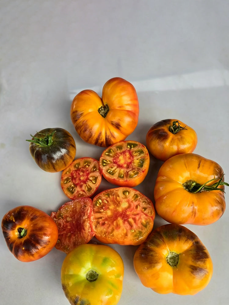 877 Blue Pineapple Blush Tomato