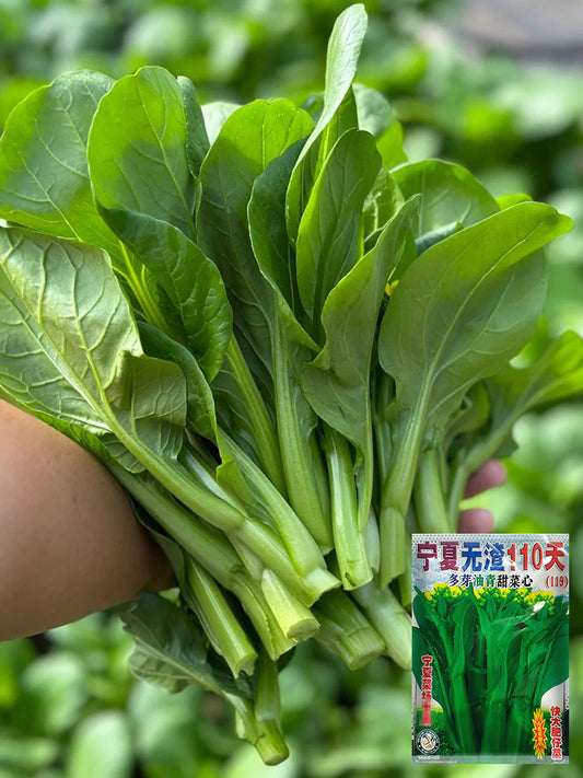 Ningxia Fiberless 110-day Choy Sum
