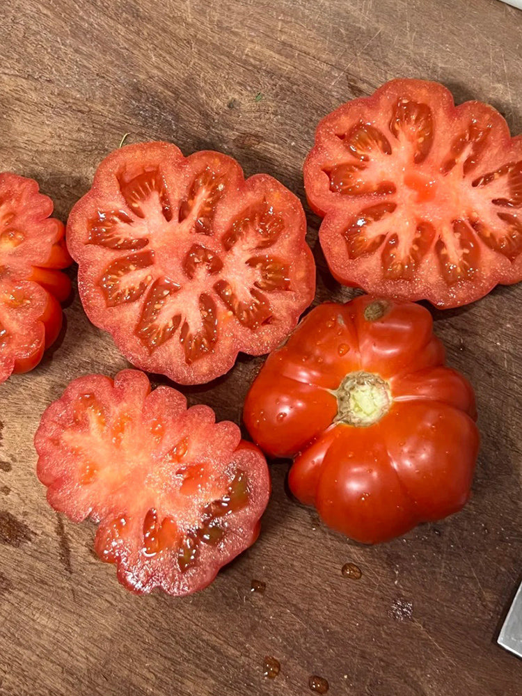 929 Sicilian Saucer Giant Tomato