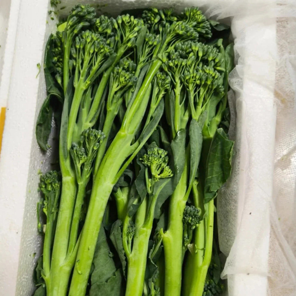 W962 Jie Mei Sprouting Broccoli