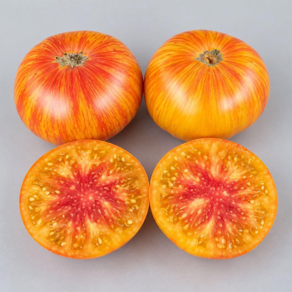 128 Lightning Giant Tomato